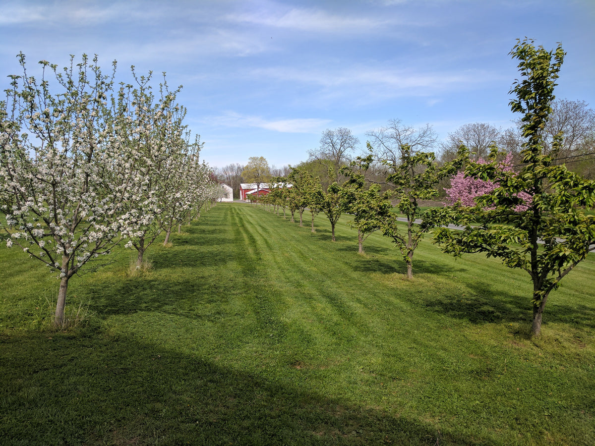 Why "Farm-to-Glass" Is More Than Just a Buzzword at Our Pennsylvania Orchard